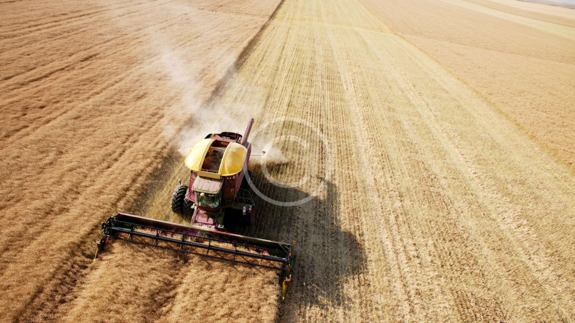 Poultry Farming & Egg Production