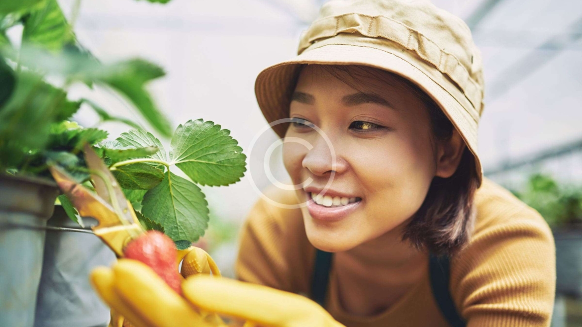 Farm-to-Table Services