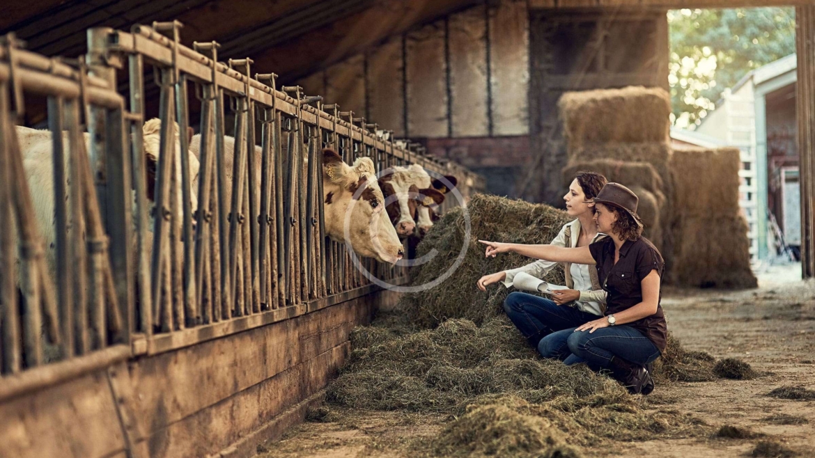 Crop Cultivation & Cash Crops